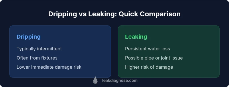 Infographic showing dripping vs leaking differences