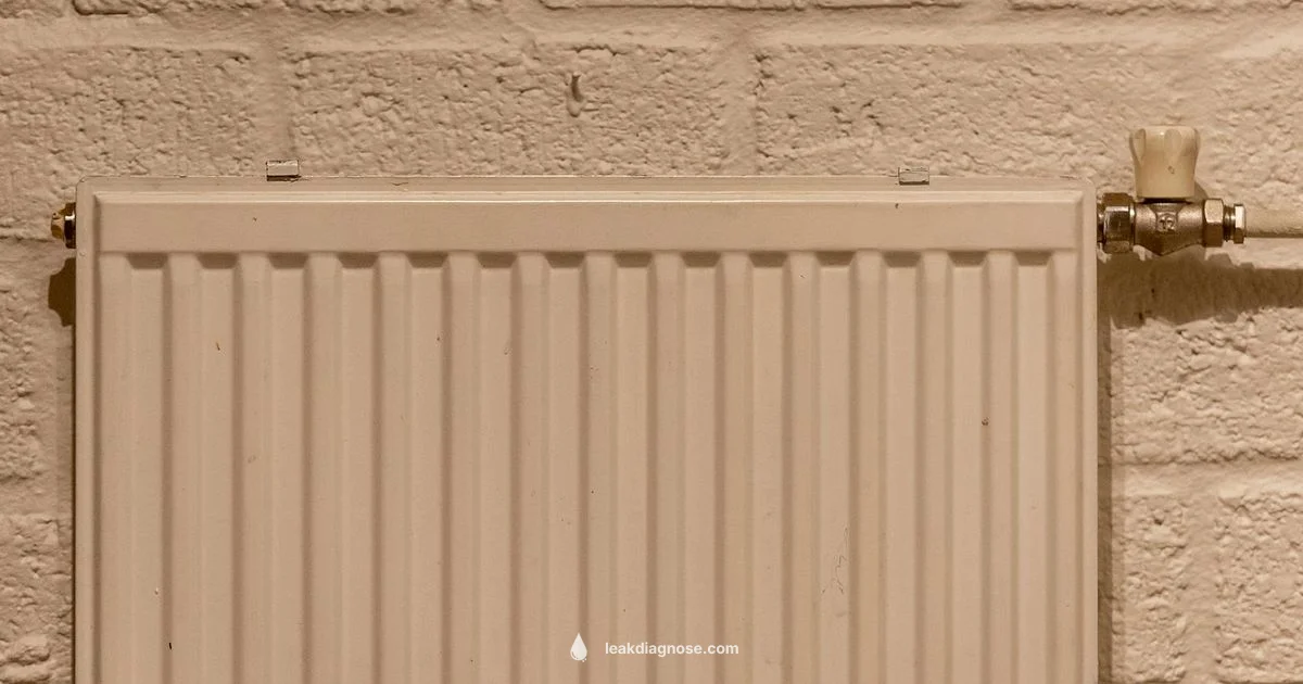 Radiator Leak Fix - Leak Diagnosis