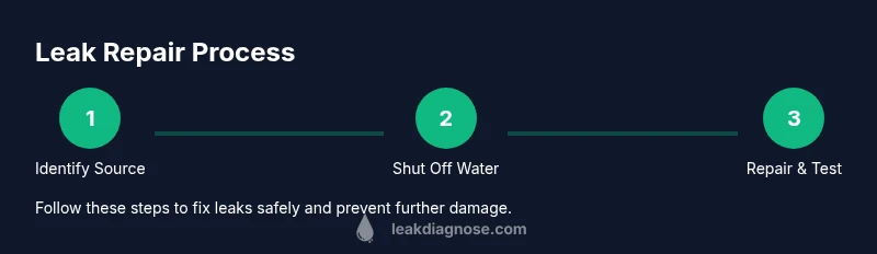 Infographic showing a step-by-step leak repair process