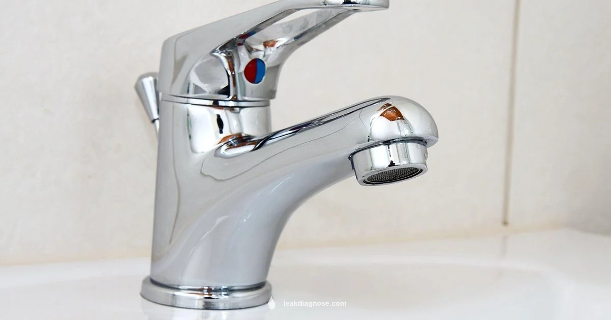 Fix a Leaky Faucet - Leak Diagnosis