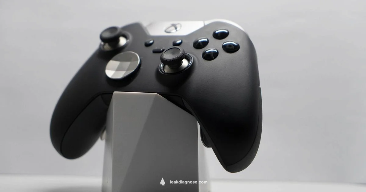 Leak Update - Leak Diagnosis