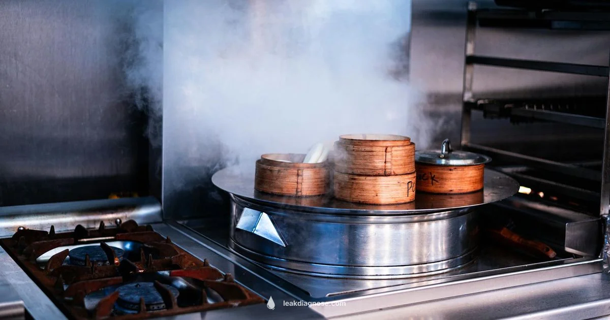 Gas Leak Safety - Leak Diagnosis