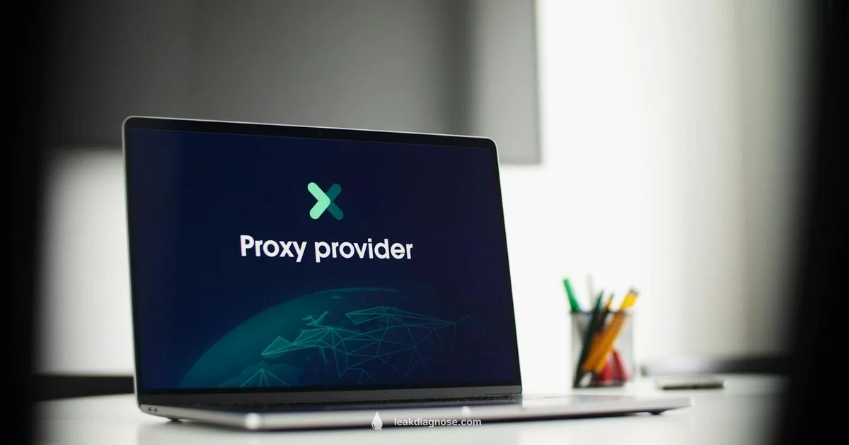 Privacy Leak Meaning - Leak Diagnosis