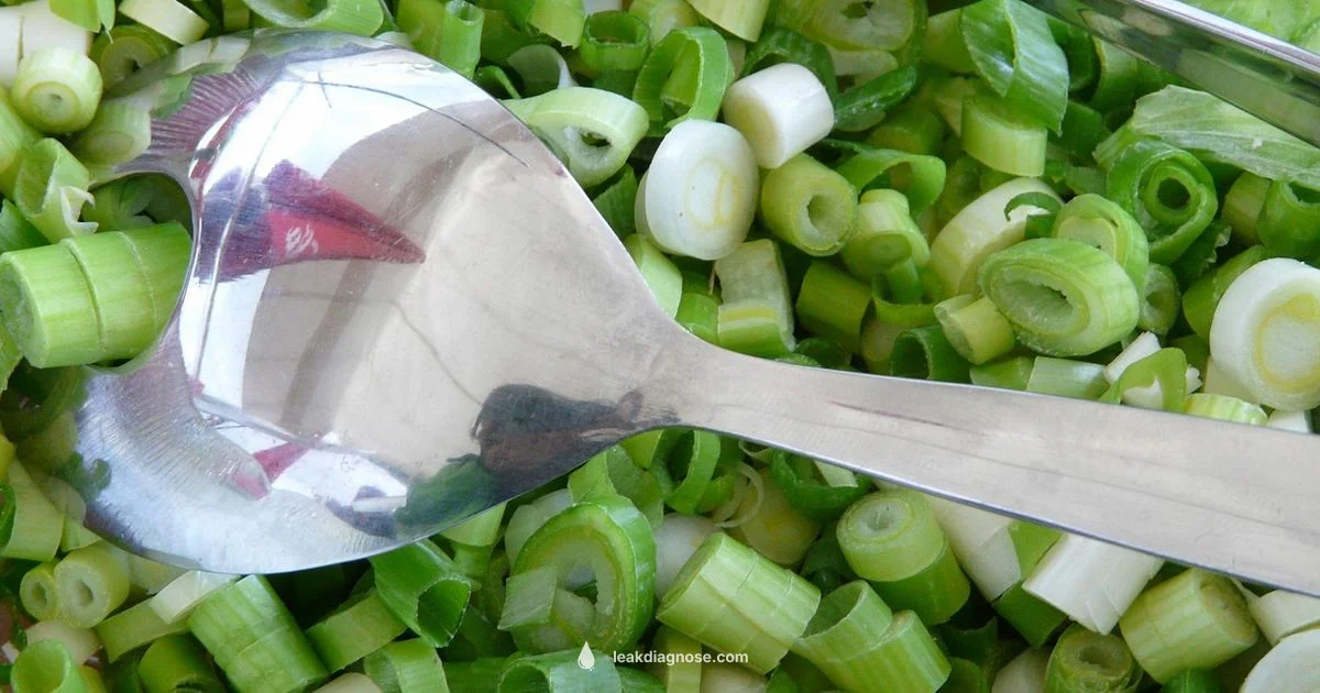 Leek vs Spring Onion - Leak Diagnosis