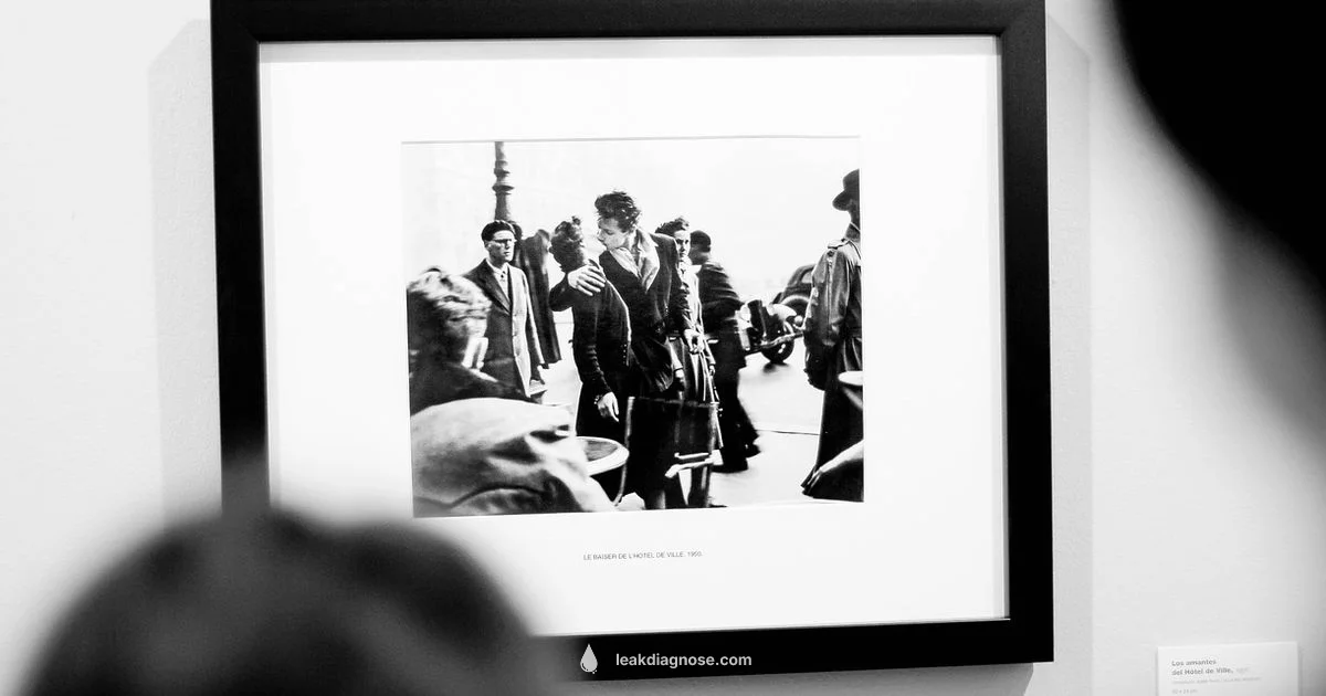 Wall Leak Guide - Leak Diagnosis