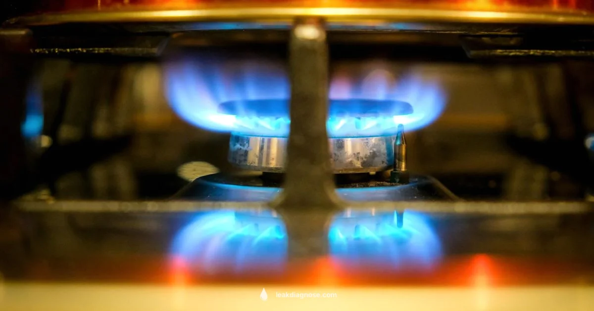 Gas Leak Cost Guide - Leak Diagnosis