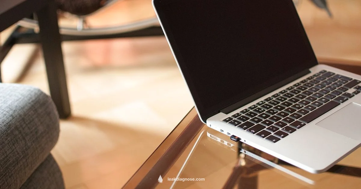 IP Address Privacy - Leak Diagnosis