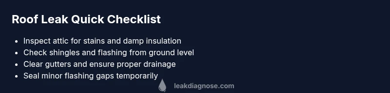 Checklist for diagnosing and patching a roof leak