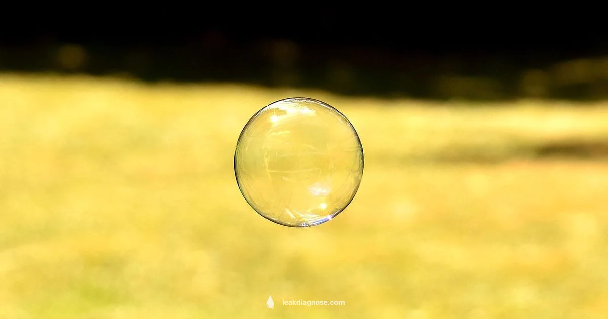 Soapy Water Test Soapy Water Test - Leak Diagnosis