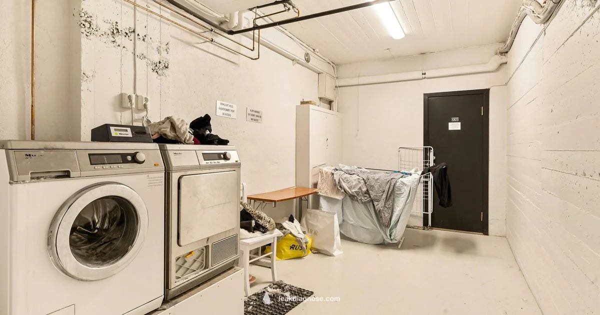 Leak Test Guide - Leak Diagnosis