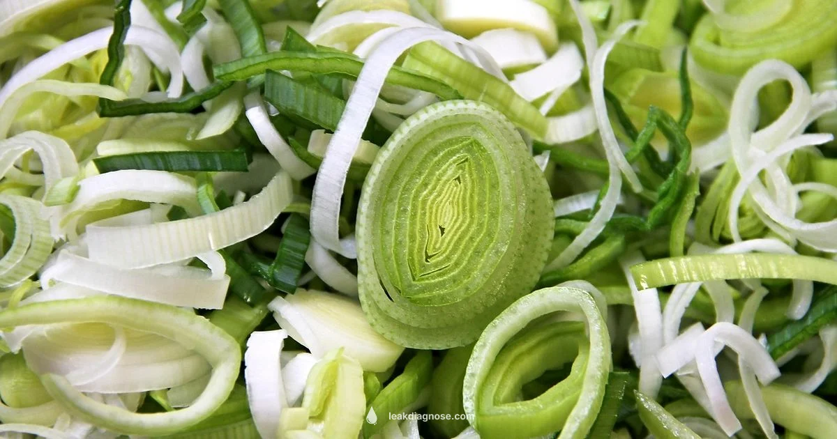 Whole Leek Guide Whole Leek Guide - Leak Diagnosis