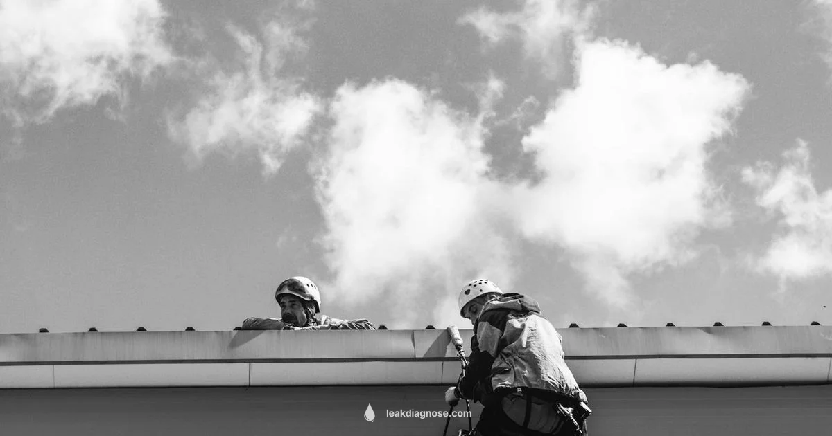 Roof Leak Costs - Leak Diagnosis