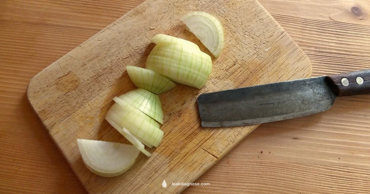 Leek vs Onion - Leak Diagnosis