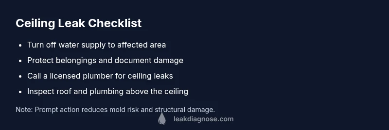 Checklist visual for ceiling leak troubleshooting