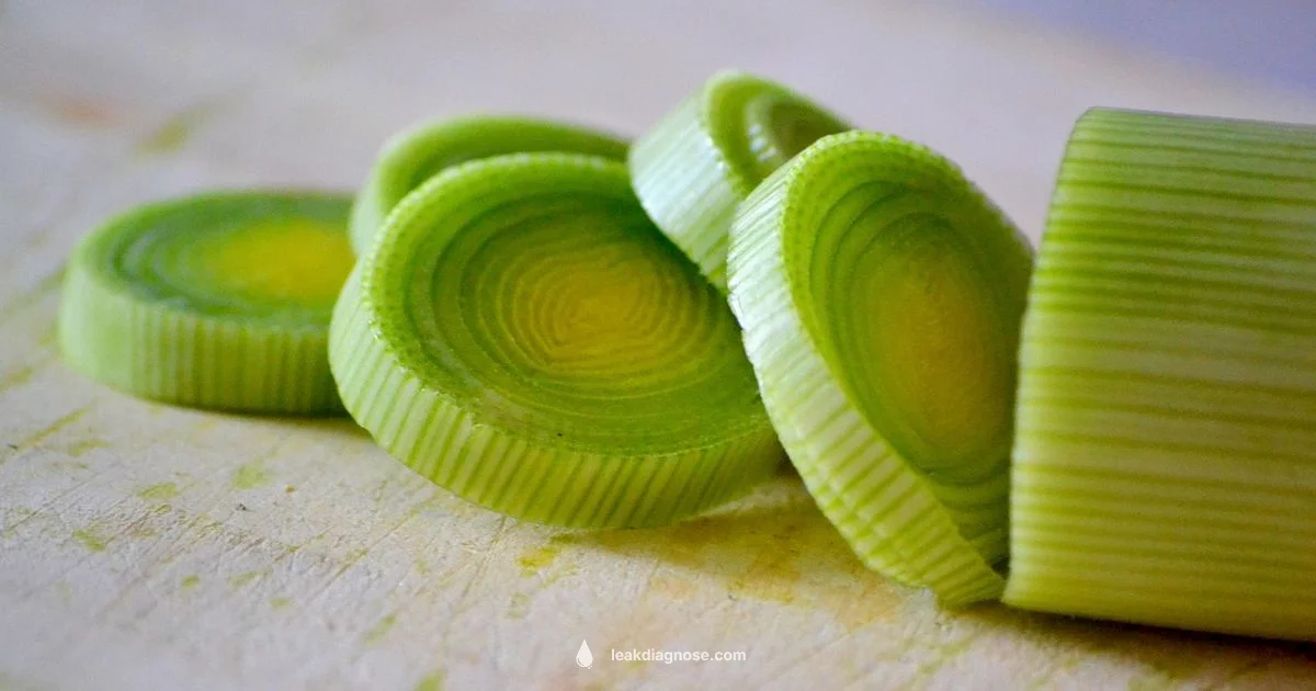 Leek Cooking Guide - Leak Diagnosis