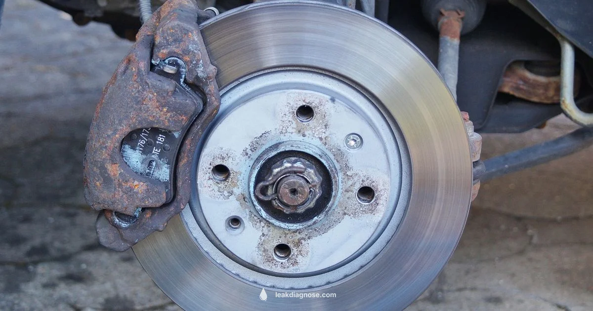Brake Fluid Leak Cost - Leak Diagnosis
