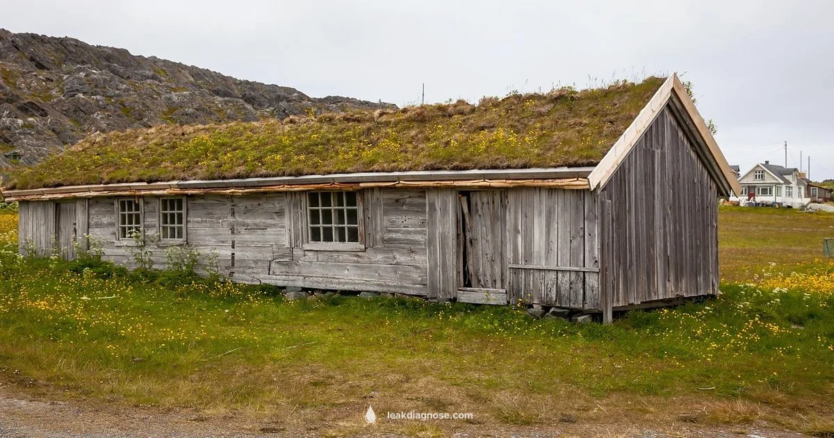 Roof Leak Guide - Leak Diagnosis