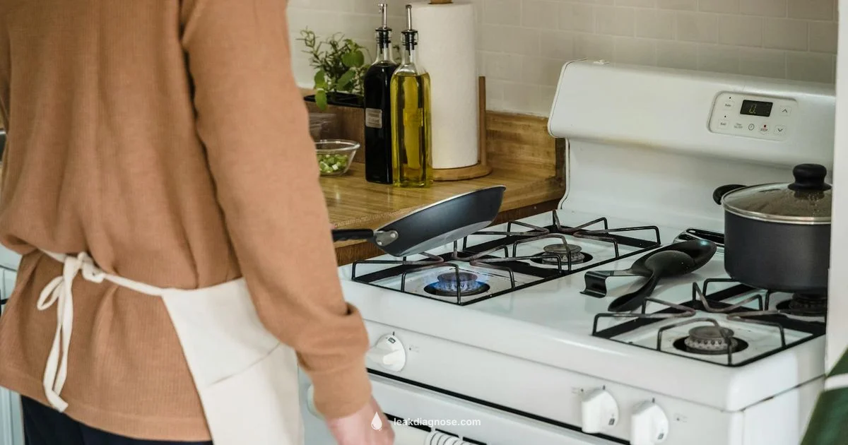 Gas Leak Safety - Leak Diagnosis