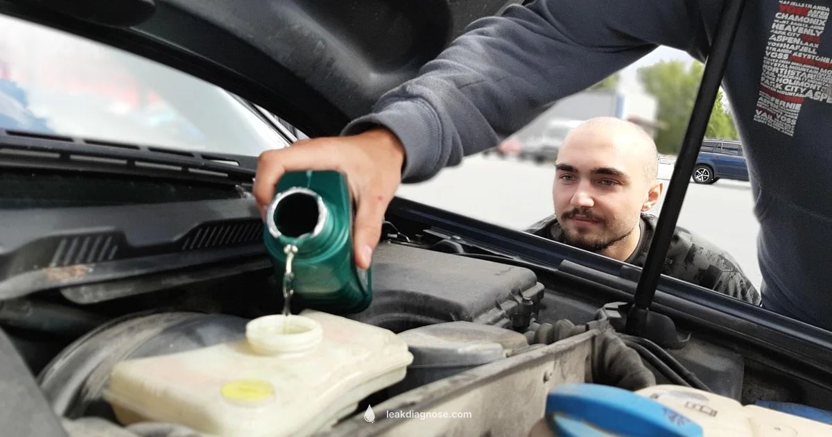 Oil Leak Fix - Leak Diagnosis