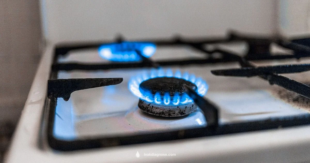 Gas Leak Detection - Leak Diagnosis