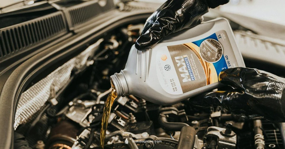 Oil Leak Safety - Leak Diagnosis