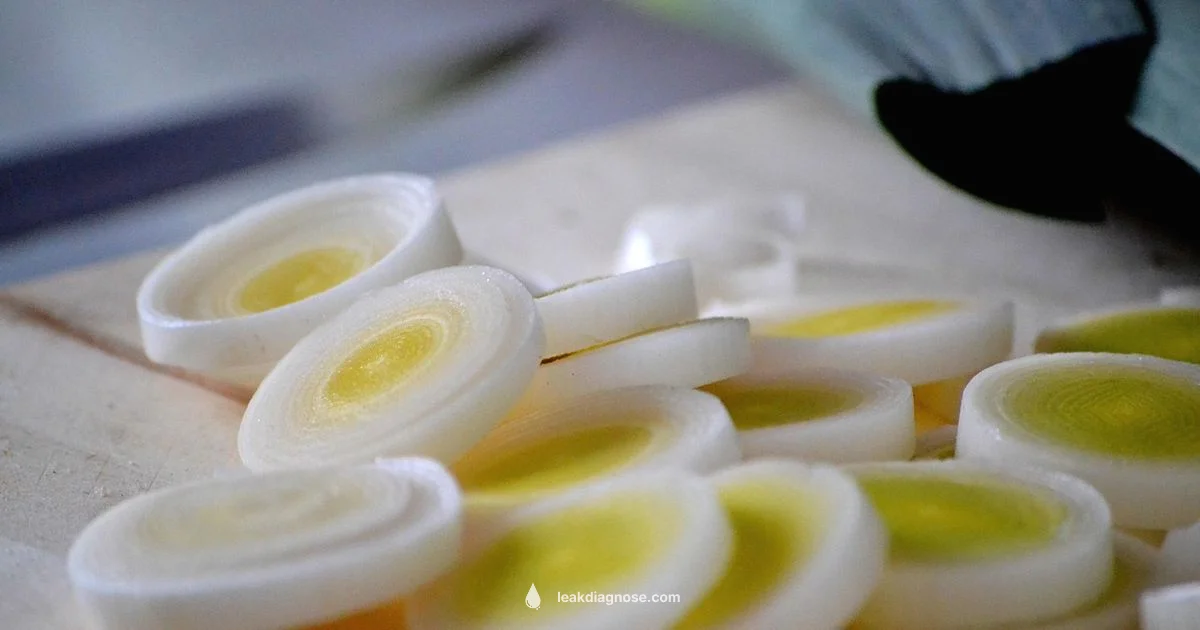 Leek Uses Guide Leek Uses Guide - Leak Diagnosis