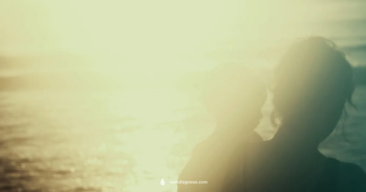 Identify Water Leaks - Leak Diagnosis