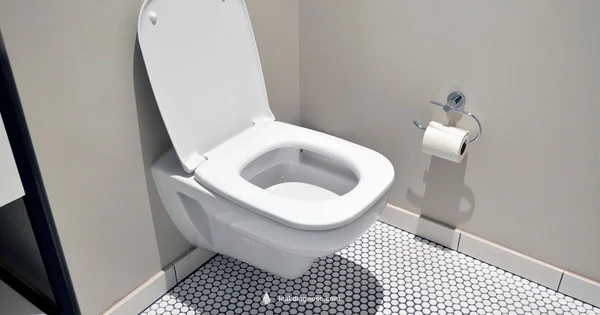 Fix Toilet Leak - Leak Diagnosis