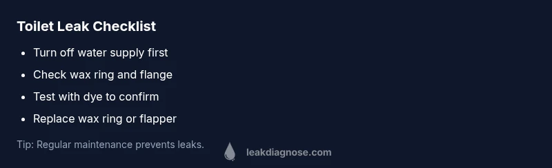 Checklist infographic showing steps to diagnose and fix a toilet leak in bowl