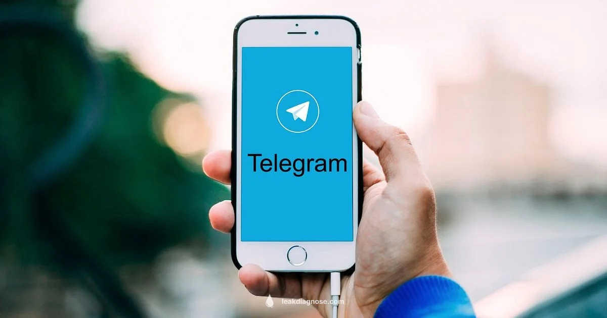 Telegram Leak Guide - Leak Diagnosis