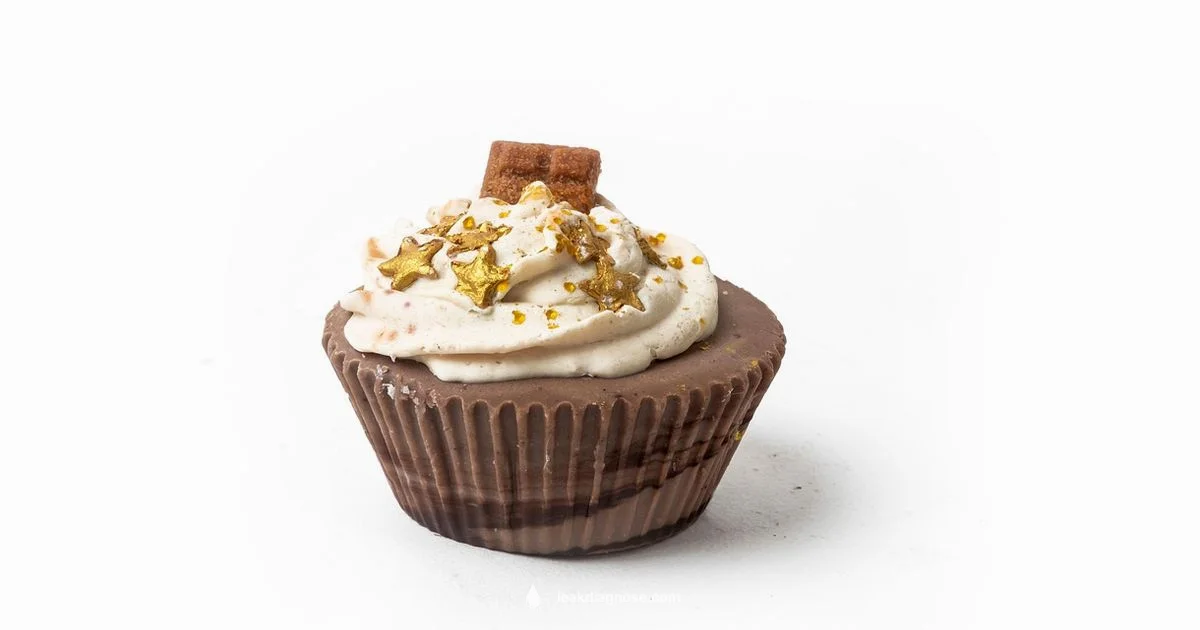 DIY Leak Soap Kit DIY Leak Soap Kit - Leak Diagnosis