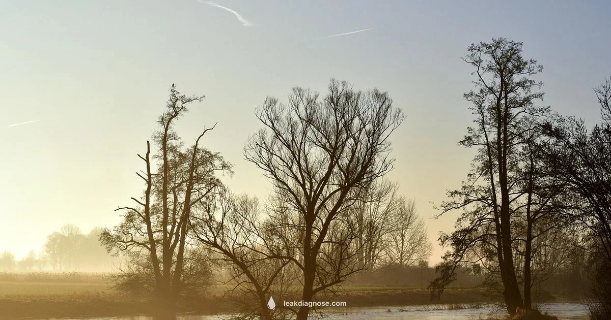 Amniotic Fluid Leak Guide - Leak Diagnosis