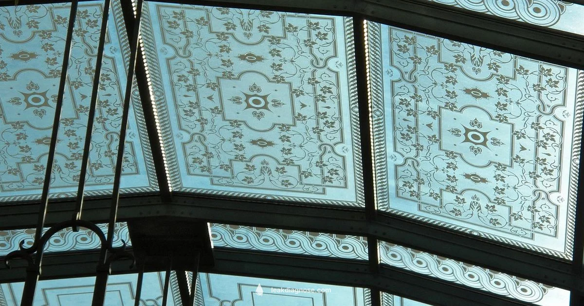 Ceiling Leak Fix - Leak Diagnosis