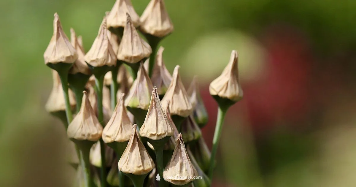 Leek Growth in Stardew Leek Growth in Stardew - Leak Diagnosis