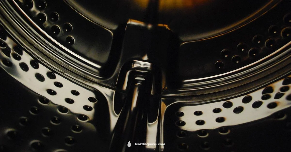 Rear Seal Leak Fix - Leak Diagnosis