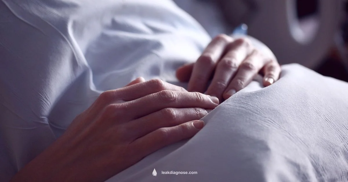 Night Leaks Guide Night Leaks Guide - Leak Diagnosis