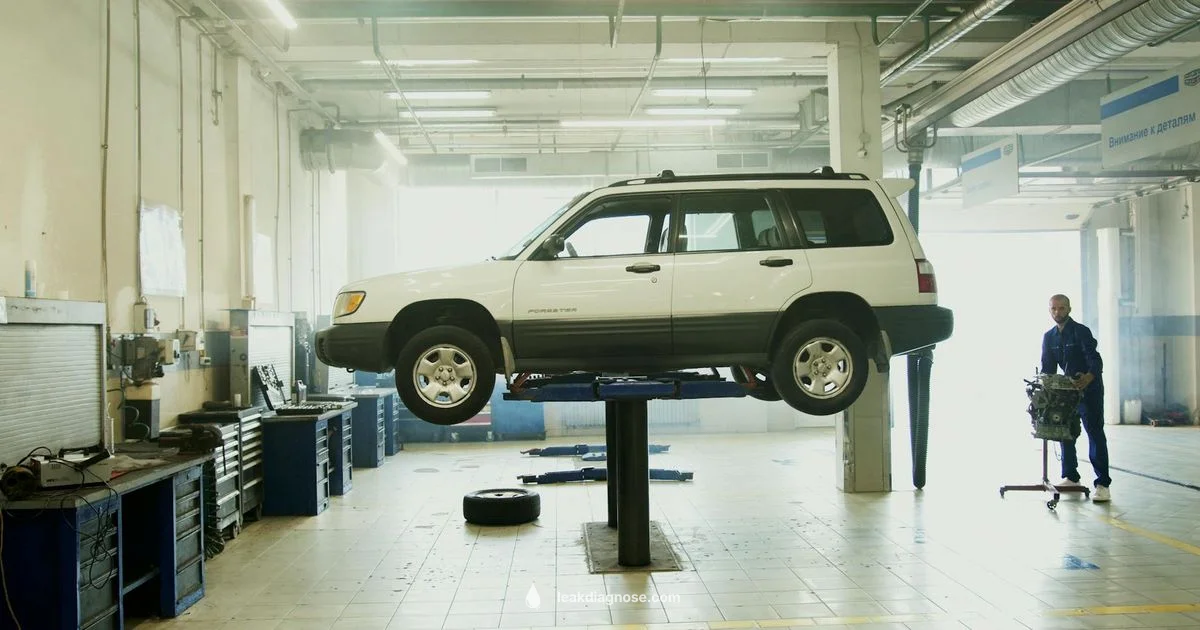 Stop a Transmission Leak - Leak Diagnosis