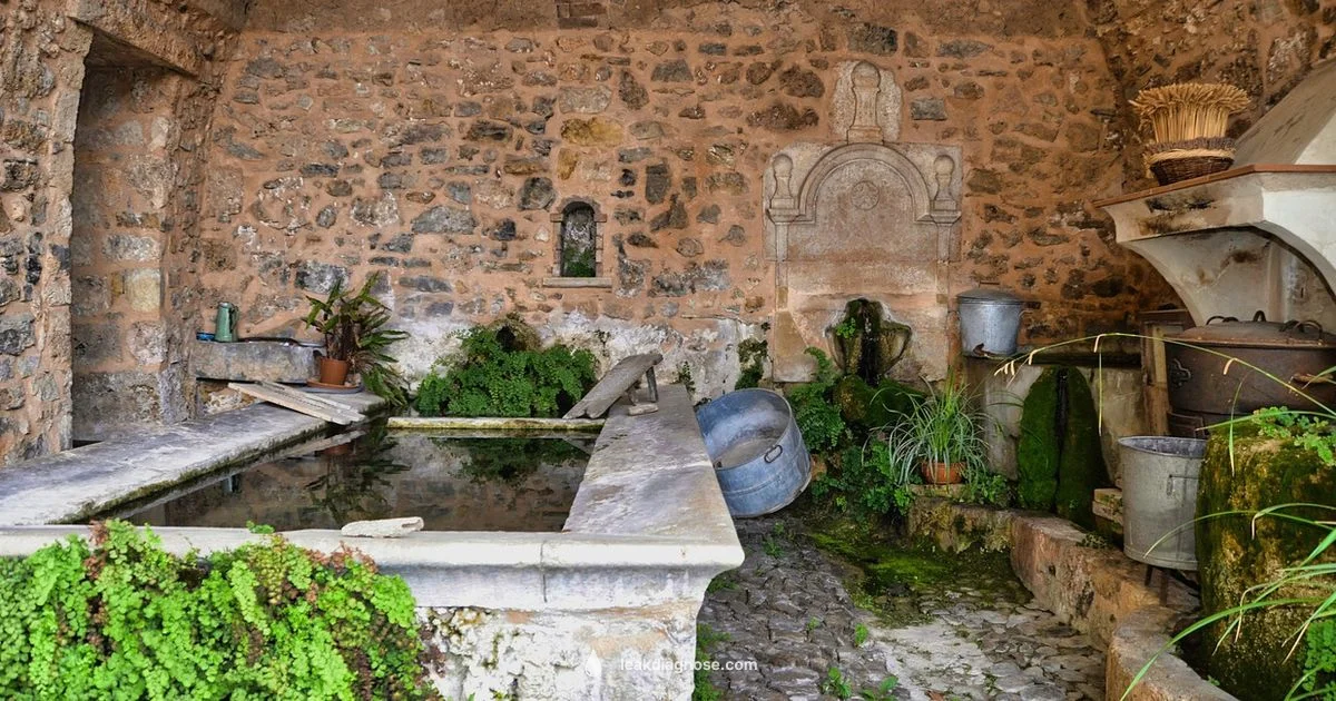 Will Leak Guide - Leak Diagnosis