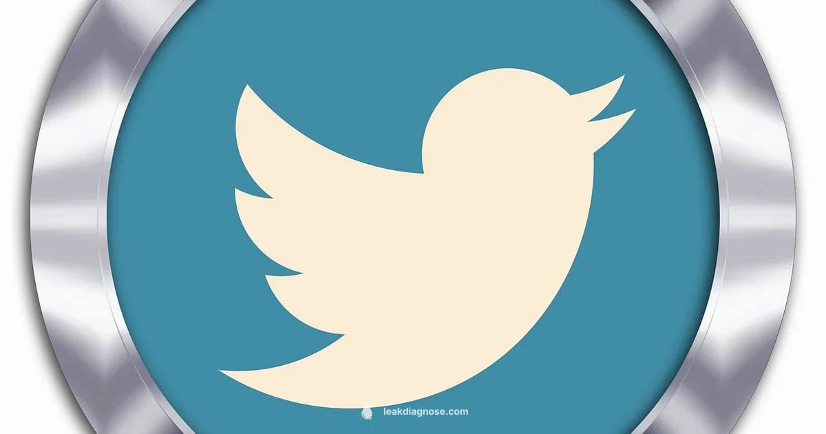 Leak Twitter Guide - Leak Diagnosis