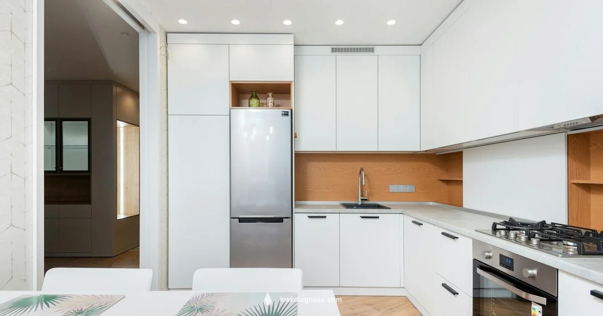 Fridge Leak Fix - Leak Diagnosis