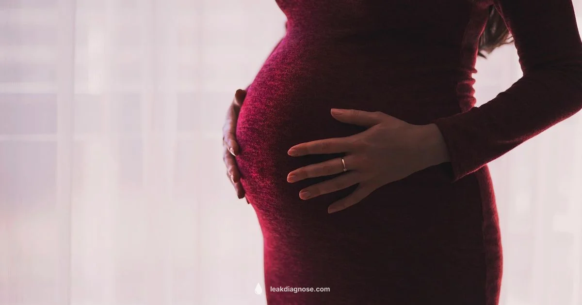 Breast Leakage and Pregnancy - Leak Diagnosis