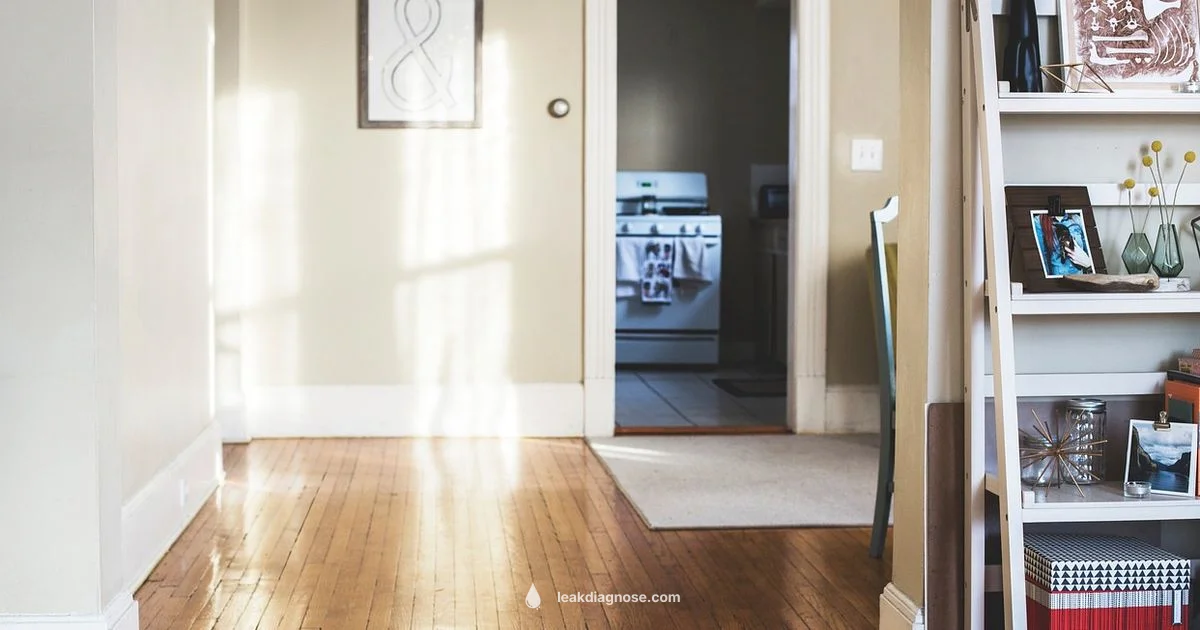 Find Hidden Wall Leaks - Leak Diagnosis