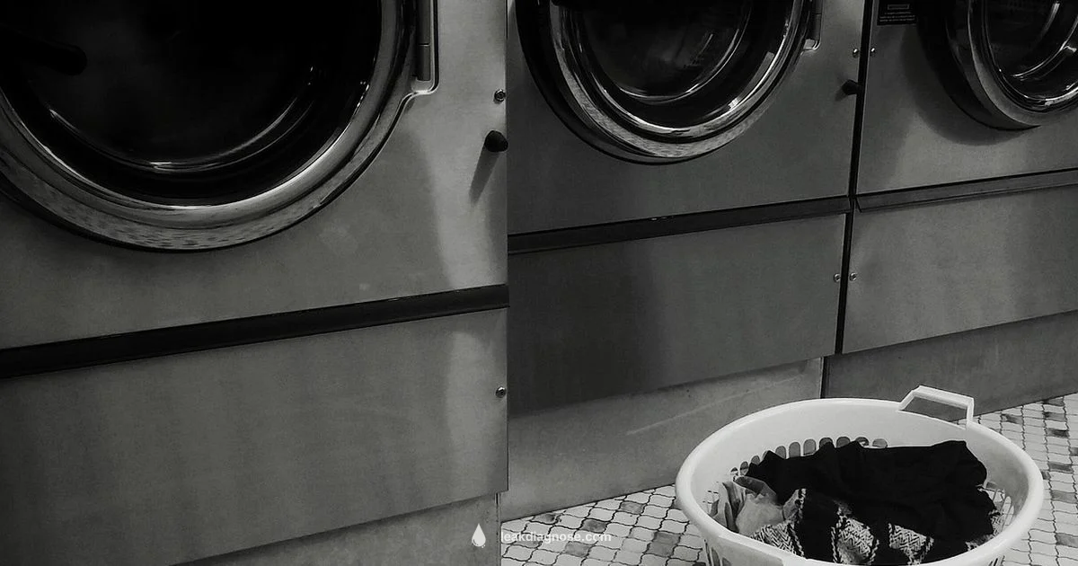 Washer Leak Fix - Leak Diagnosis