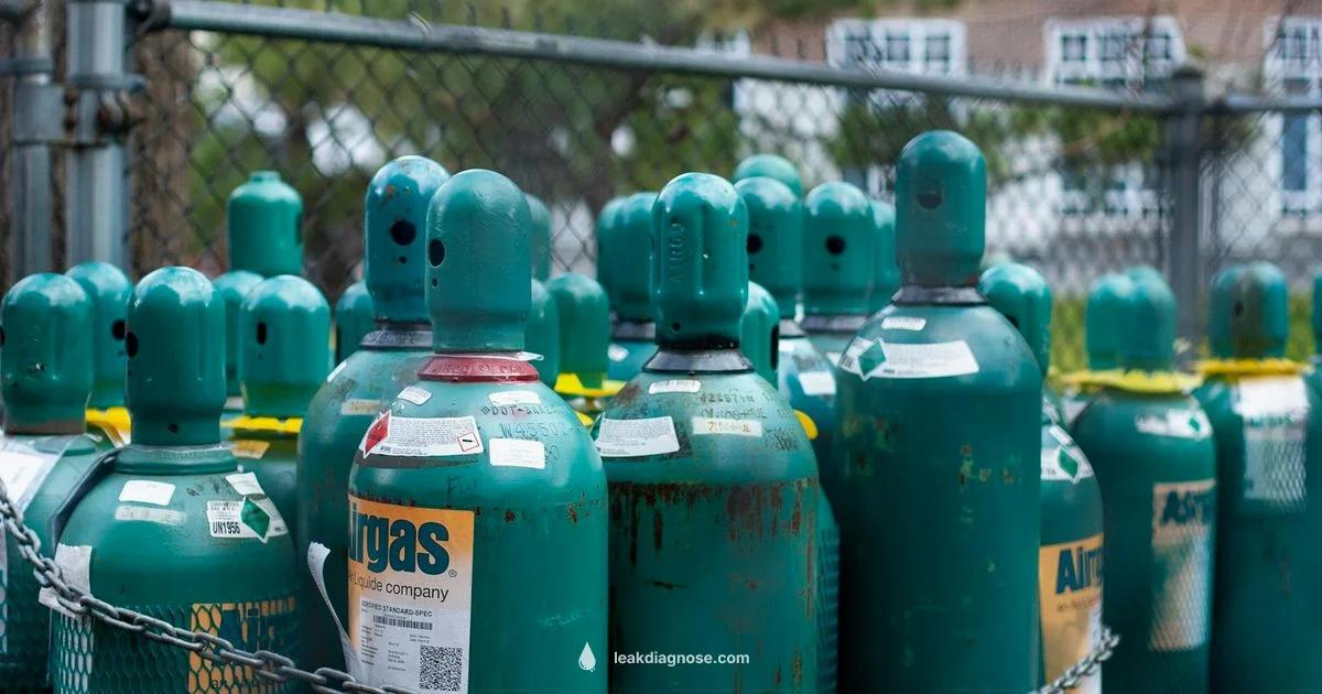 Gas Leak Safety - Leak Diagnosis