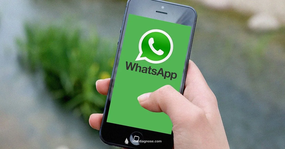 Signal Chat Leak - Leak Diagnosis