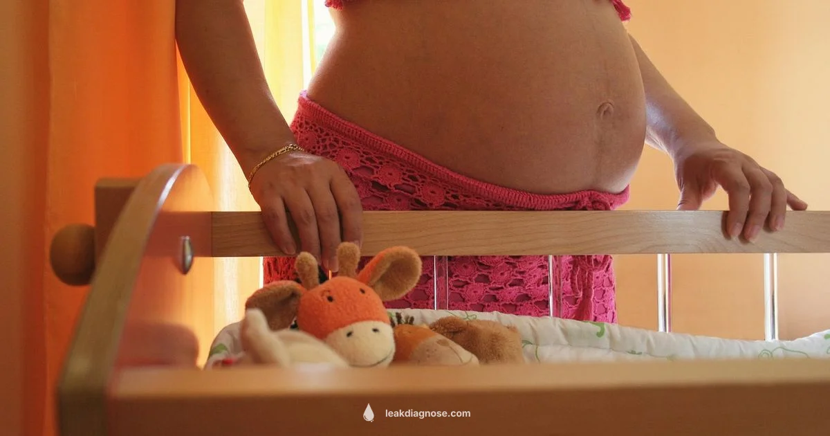 Amniotic Fluid Leakage Guide - Leak Diagnosis