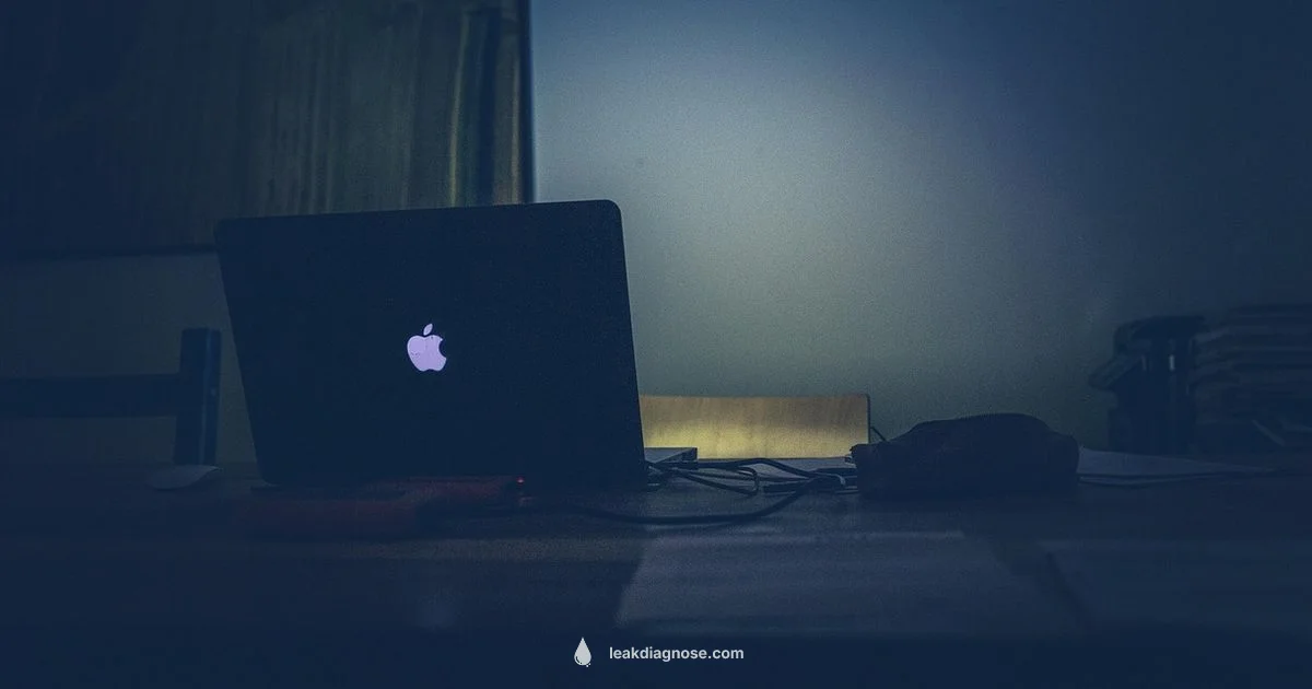 Breach Timeline - Leak Diagnosis