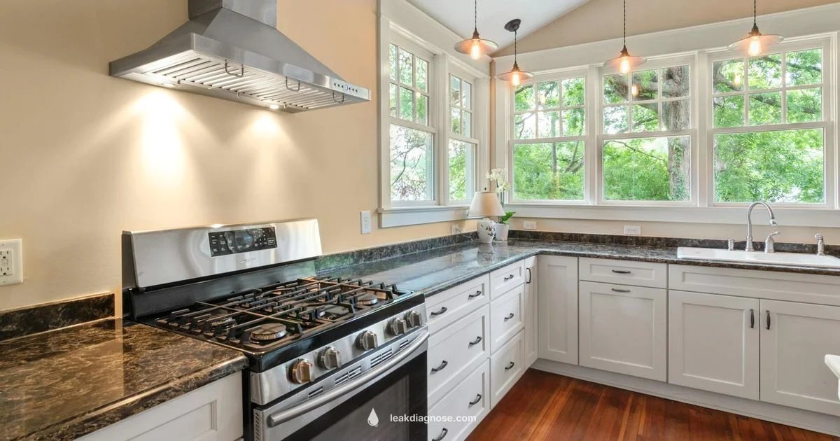 Gas Leak Safety - Leak Diagnosis