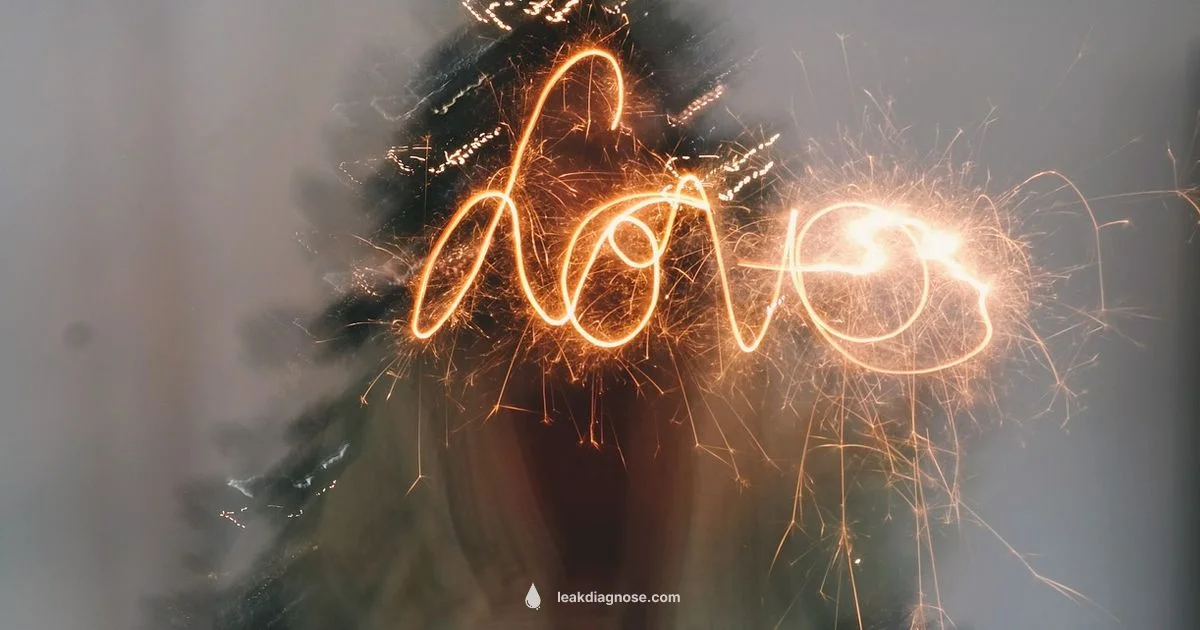 Light Leak Guide - Leak Diagnosis