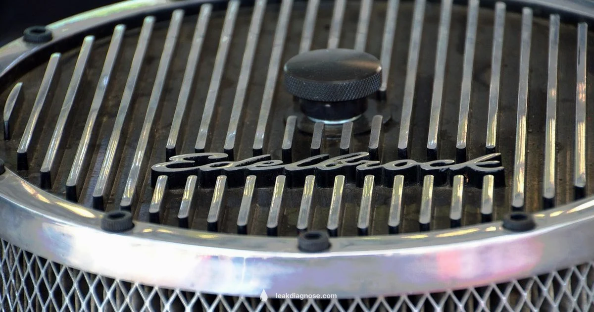 Top Stop- Leak Picks Top Stop- Leak Picks - Leak Diagnosis